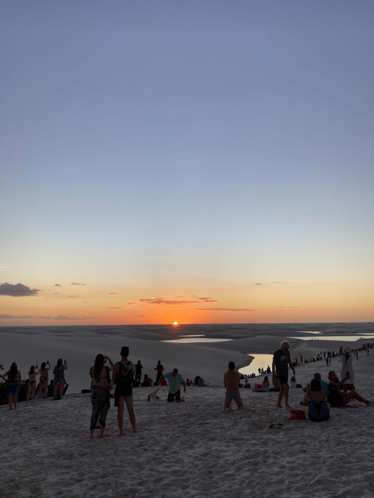 WhatsApp Image 2026-02-05 at 16.42.43